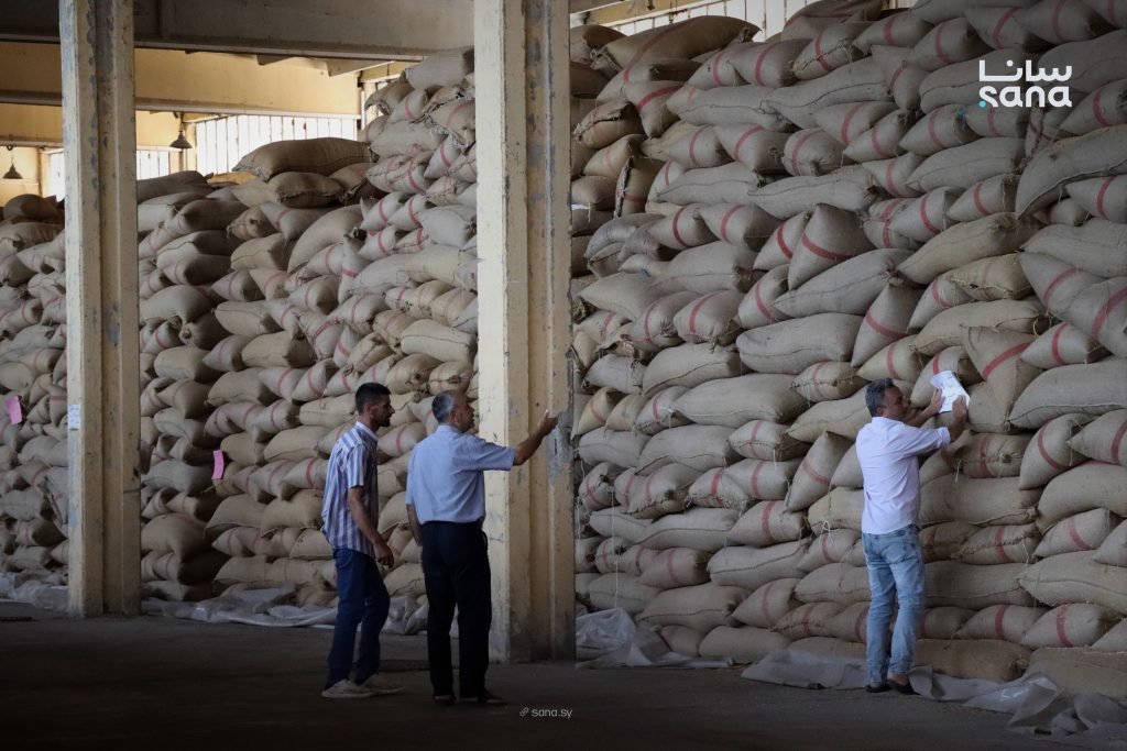 Homs Prepares 3,500 Tons of Seed Wheat for Upcoming Agricultural Season