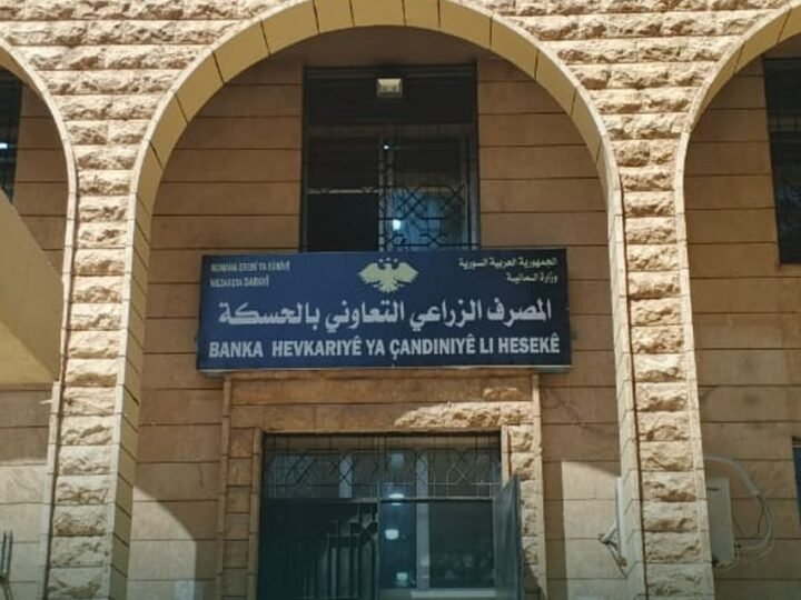 Al-Hasakah Agricultural Bank Begins Wheat Payment Processing
