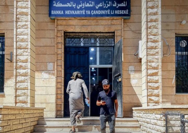 Al-Hasakah Agricultural Bank Begins Grain Payouts to Farmers
