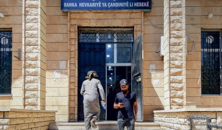 Al-Hasakah Agricultural Bank Begins Grain Payouts to Farmers
