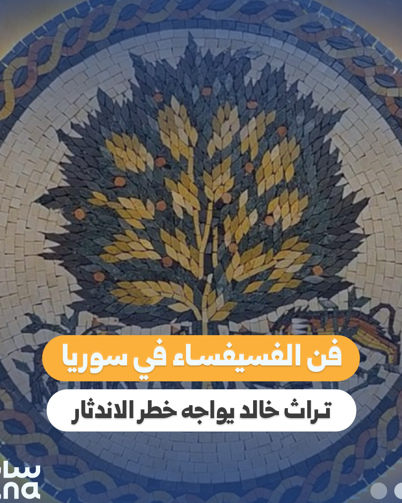 Aleppo’s Mosaic Heritage Faces Looming Threat of Extinction