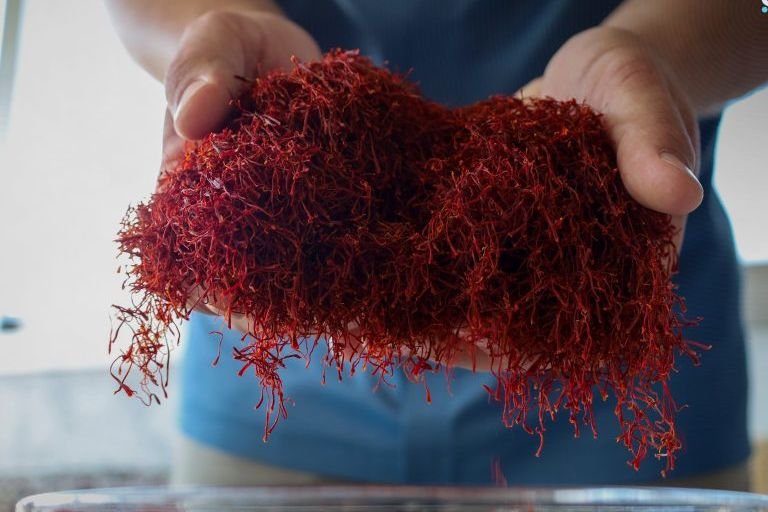 Saffron Cultivation Emerges as Promising Economic Path in Tartus