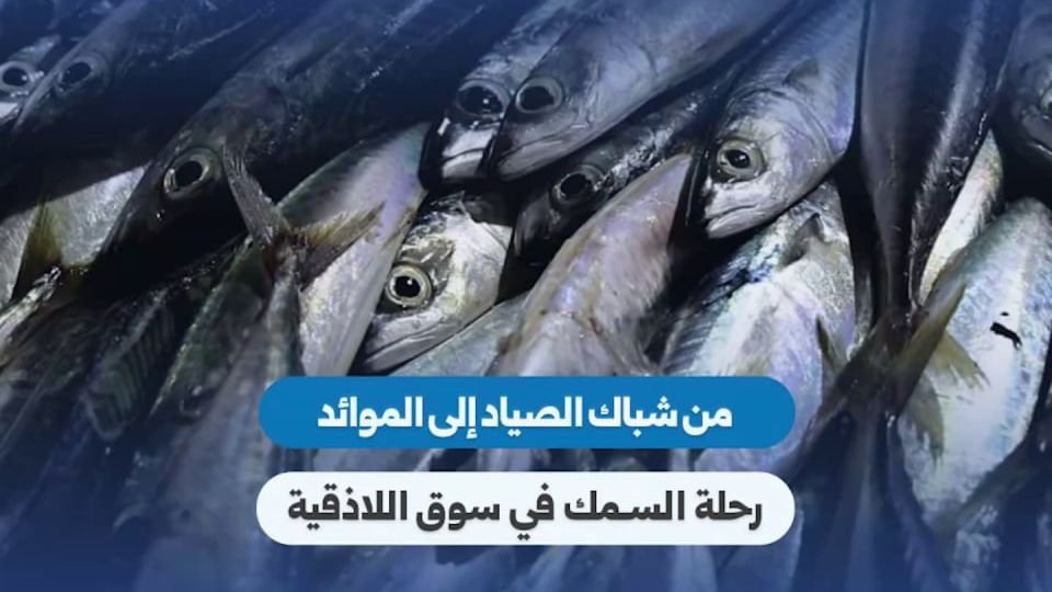 From Sea to Market: The Journey of Catch in Latakia