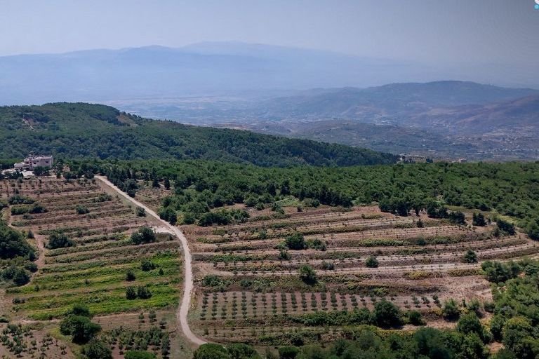 Moderate Summer Weather Expected Across Syria With Scattered Rain