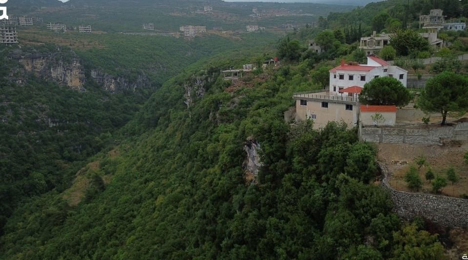 Recent Rainfall Transforms Latakia Countryside