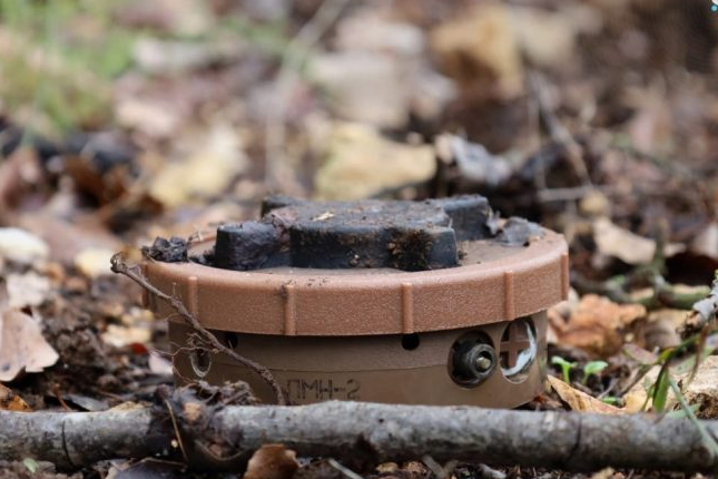 Two Injured by Landmine Explosion Near Douma in Rif Dimashq