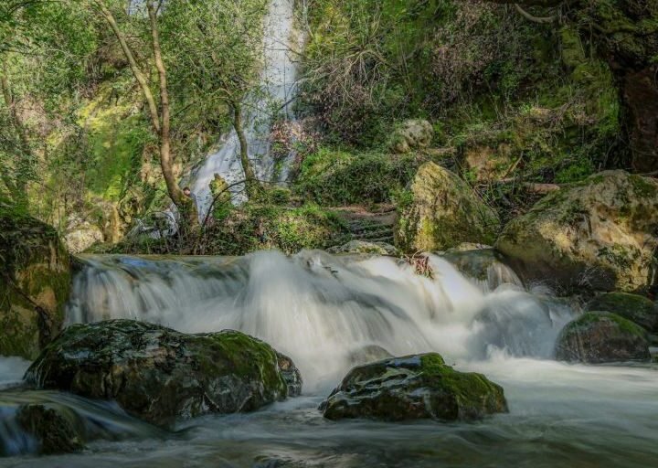 Syria Experiences Hot Summer Weather with Hazy Conditions