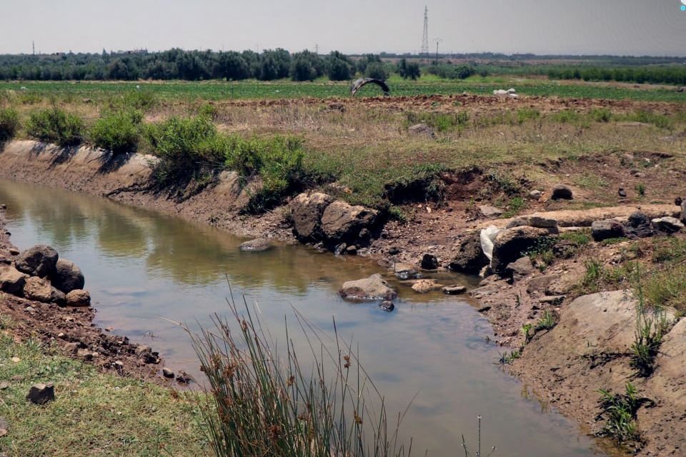 10-Year-Old Boy Drowns in Sahm al-Golan Dam, Daraa