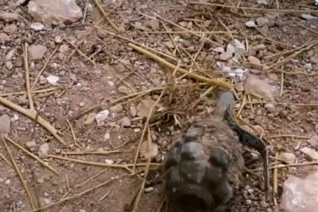 Man Killed in Hand Grenade Explosion in Manbij