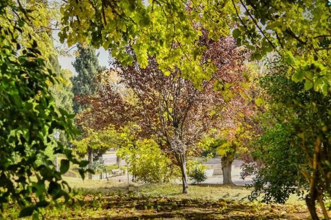 Autumn Begins in Syria: Temperatures Set to Drop Gradually