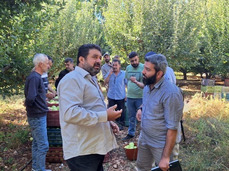 Syria Extends Apple Import Ban and Sets Restrictions on Lemons