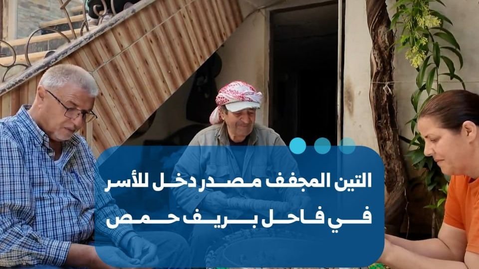 Dried Figs: A Vital Seasonal Income and Staple for Homs’ Fahl Village