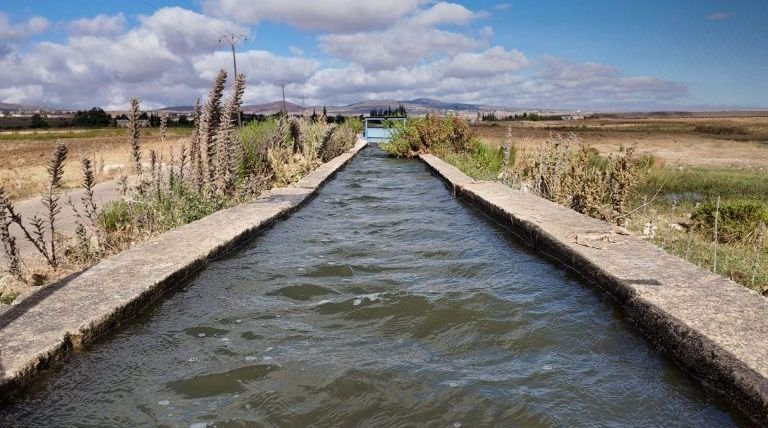 Quneitra Water Resources Starts Pumping to Save Crops in Wadi al-Alan