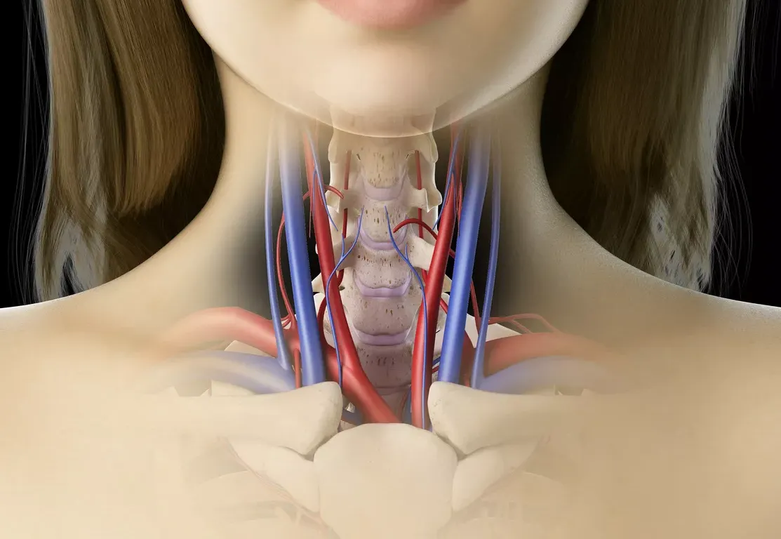 New Medical Discovery Offers Hope for Resistant Hypertension