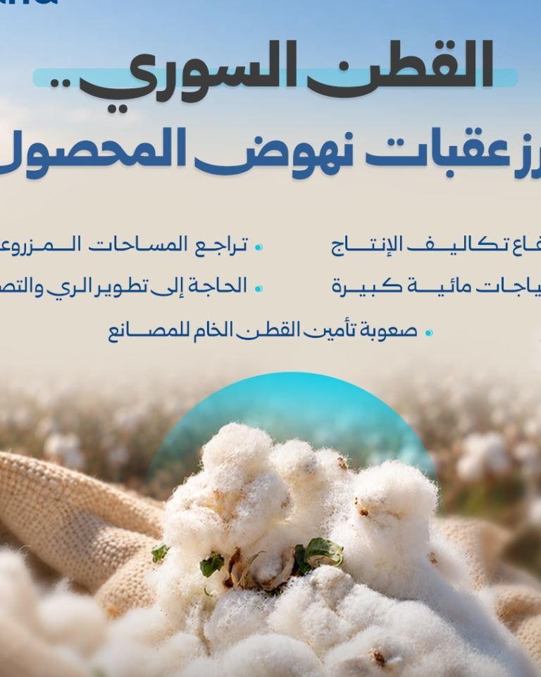 Rising Challenges Impact Syria’s Cotton Harvest Season