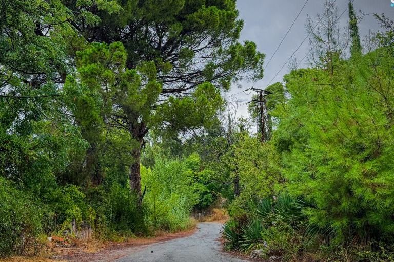 Temperatures Drop Across Syria as Rain Forecast for Coastal Regions