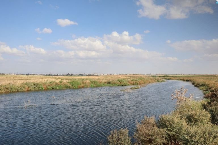 Sewage Leakage Sparks Health and Environmental Concerns in Daraa
