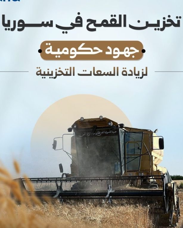 Syrian Grains Establishment Expands Storage Capacity for 2027 Season