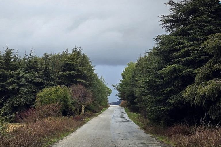 Temperatures Drop Across Syria With Heavy Thunderstorms Expected